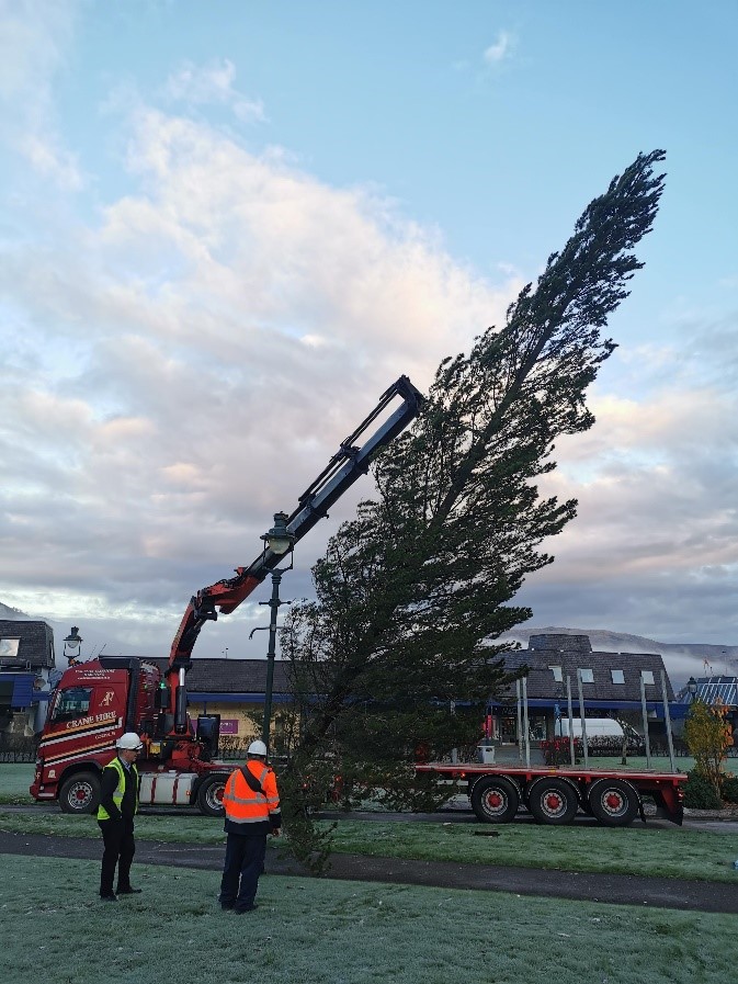 Special Delivery! Ferguson Transport & Shipping