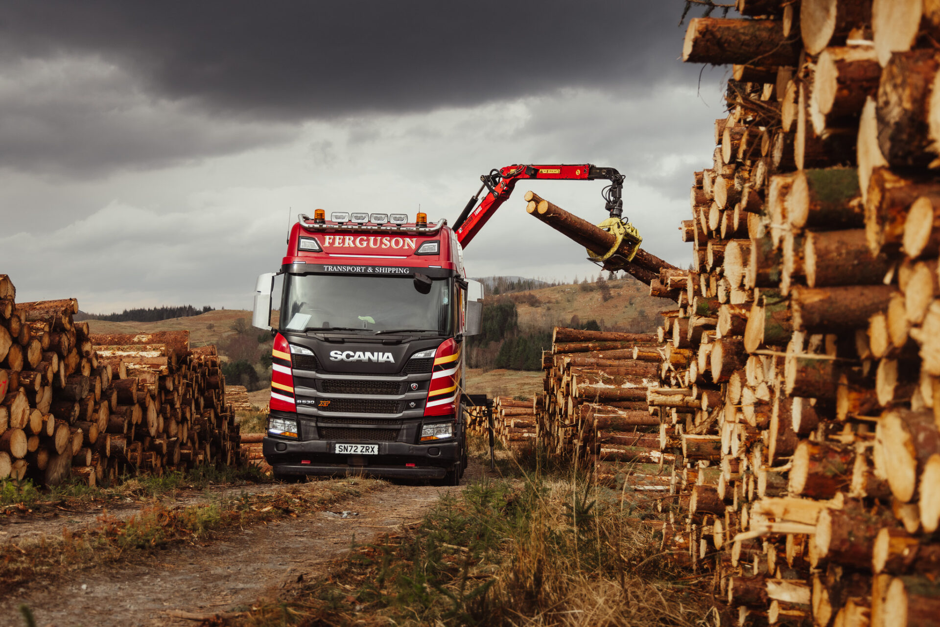 Timber pic for calendar Timber pic for calendar